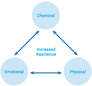 Perth Wellness Centre - Life Alliance - Diagram