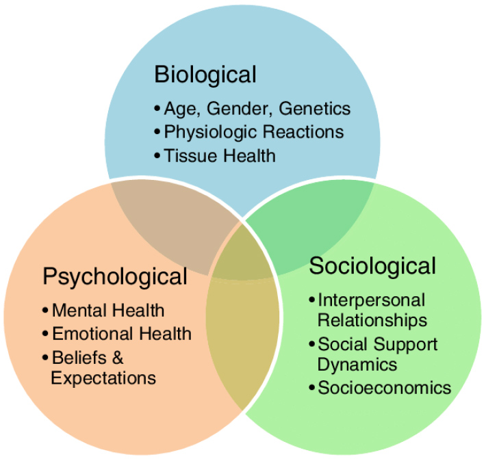 Perth Wellness Centre - The Biopsychosocial Model and Why it's Important in Our Practice copy